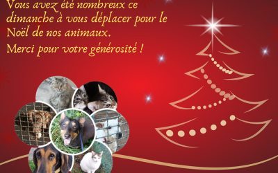 3/12/2023 Noël de nos animaux, merci !